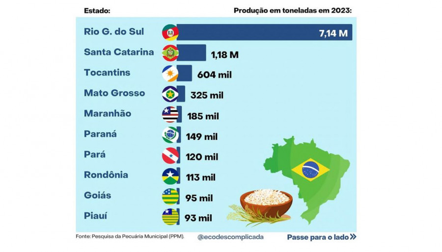 Pesquisa da Pecuária Municipal (PPM) consolida o Tocantins como o terceiro maior produtor de arroz do país - Divulgação