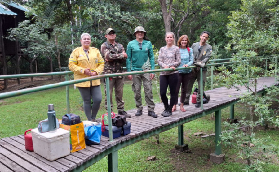 Pró-Ariranha tem como objetivo acompanhar a ocorrência da espécie, ameaçada de extinção e subsidiar ações de conservação e manejo - Naturatins/Governo do Tocantins