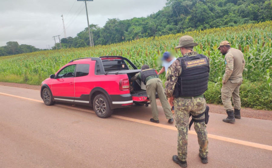 Durante a operação, foram realizadas blitz na rodovia TO-348, com abordagens a veículos para coibir o transporte irregular de pescado e outros produtos de origem ilegal — Foto: Naturatins/Governo do Tocantins
