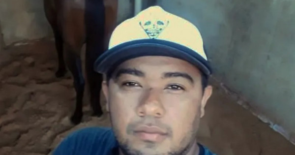 Tratorista de 29 anos morre após ser atacado por abelhas durante