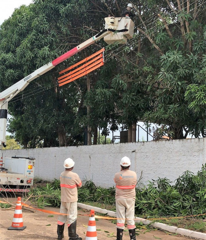 Manuten O Preventiva De Rvores Pode Prevenir Acidentes Rede El Trica