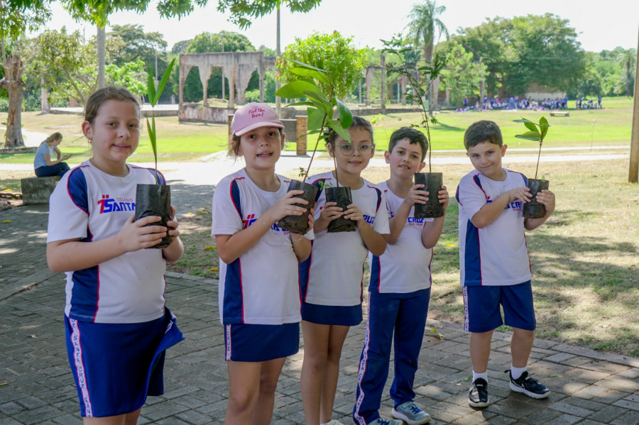 O Viveiro Municipal distribui gratuitamente mudas de mais de 15 espécies nativas do Cerrado, como as que foram doadas para os alunos do Colégio Santa Cruz, que fizeram o plantio no Parque Cimba.