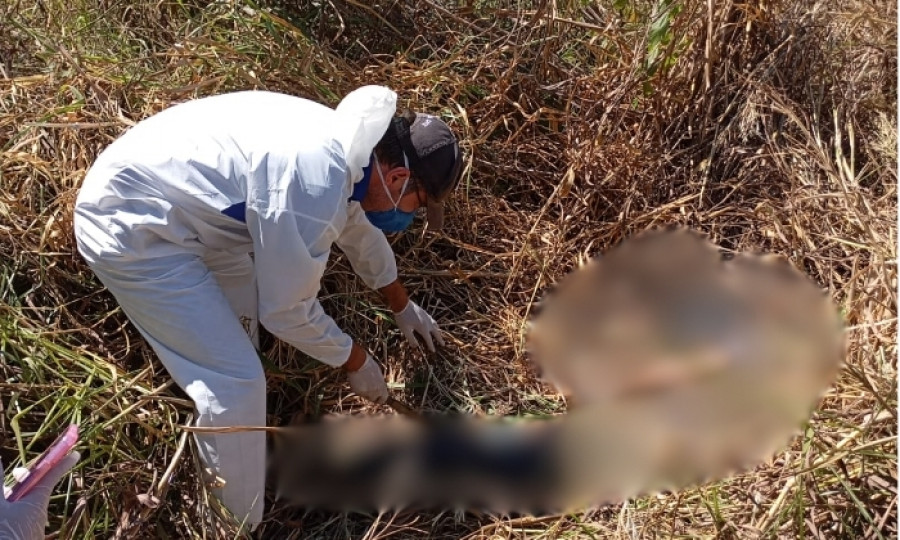 Corpo foi localizado por familiares. 