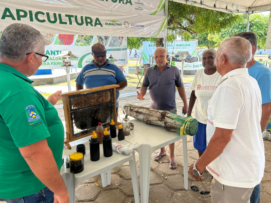  Apicultura é tema atrativo para produtores interessados na criação de abelhas, durante a feira da colheita