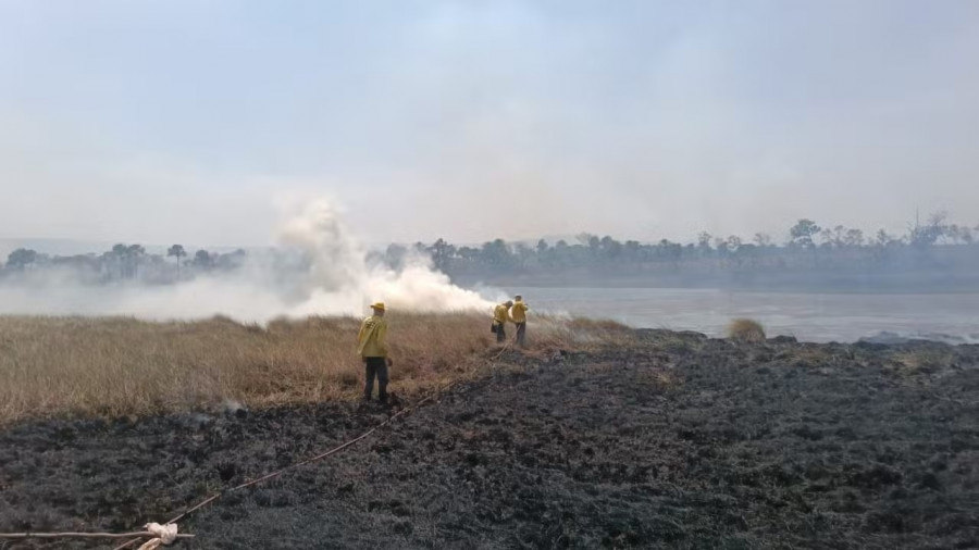 Brigadistas apagando fogo às margens da Lagoa da Serra. Foto: Ascom Bombeiros