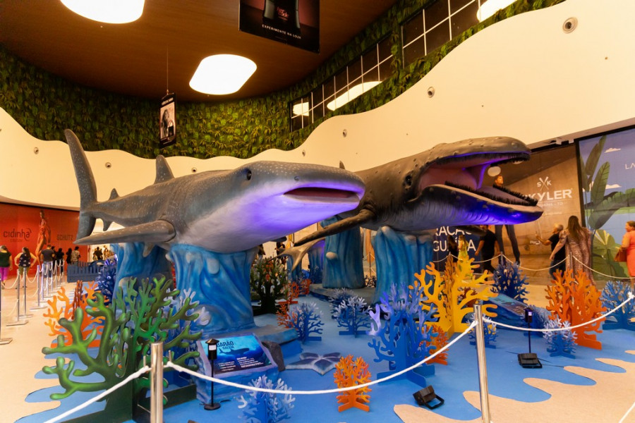 Exposição Mundo Marinho