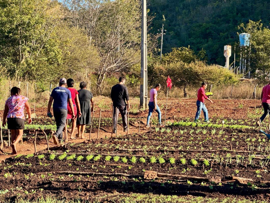 Oficina de olericultura que visa a geração de renda e a autonomia financeira