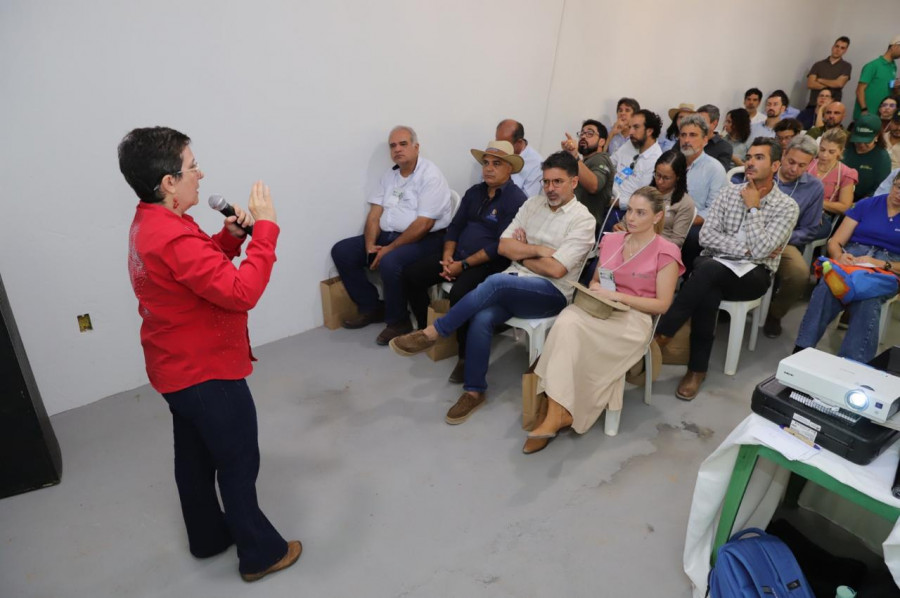  Encontro esclarece ações do programa REDD+.