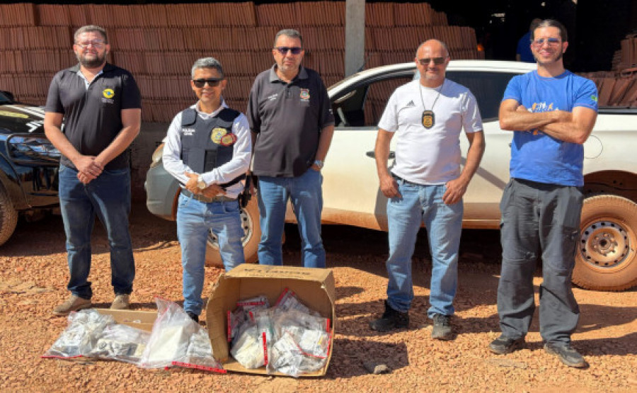Polícia Civil incinera mais de 7 kg de entorpecentes apreendidos durante ações no interior do Tocantins - SSP/Governo do Tocantins