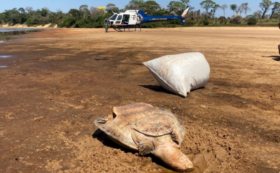  Com o grupo, foi configurado o flagrante da prática de crimes ambientais - Polícia Militar/Governo do Tocantins