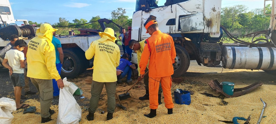 Foi necessário usar pó de serragem para conter o vazamento. Foto: Bombeiros