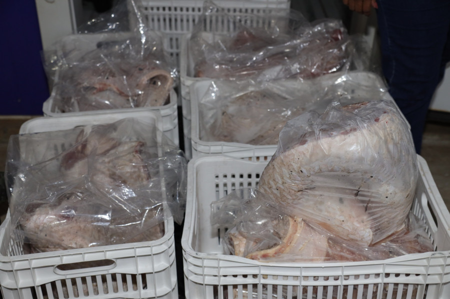 Essa é a primeira apreensão no período de piracema, que iniciou oficialmente neste sábado, 1º de novembro, e segue até o dia 28 de fevereiro de 2026