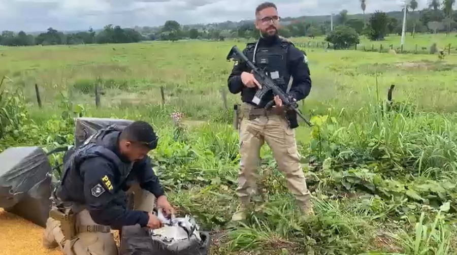 Droga apreendida em meio a carga de milho. Foto: Reprodução PRF/GO