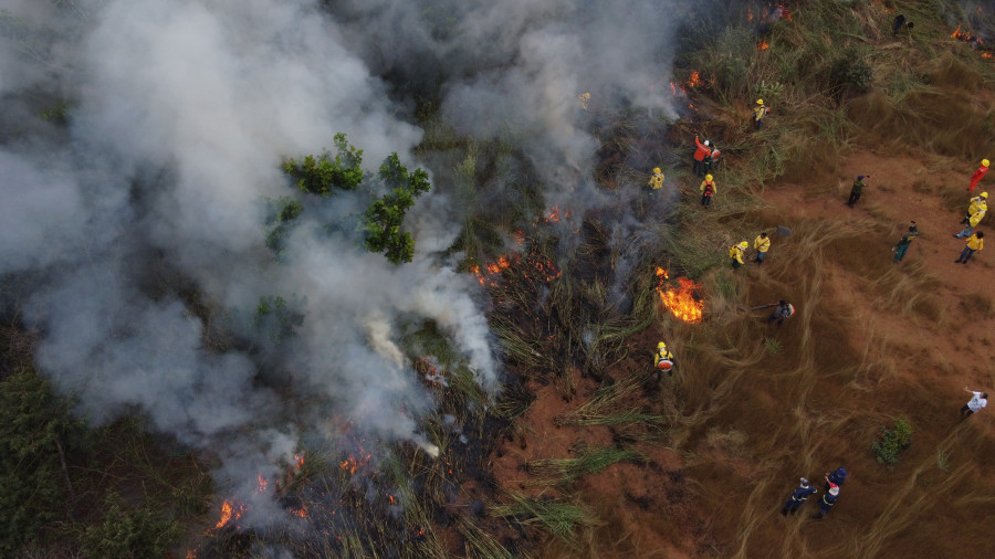 Brigadistas realizaram queimas prescritas na região do Parque Estadual do Cantão - Walker Ribeiro/Governo do Tocantins