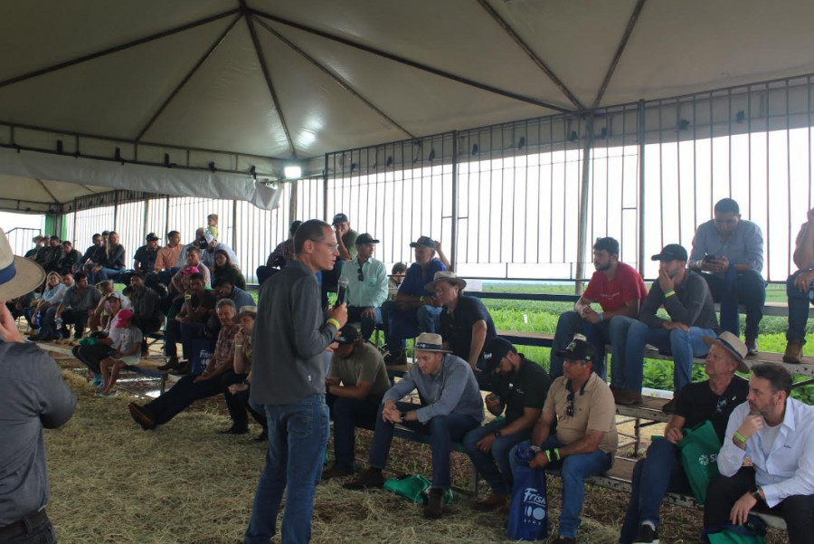 Pesquisador apresenta 20 genótipos de soja em demonstração de campo; foco é identificar substitutos para a cultivar Olimpo e ajustar população de plantas para máximo rendimento.