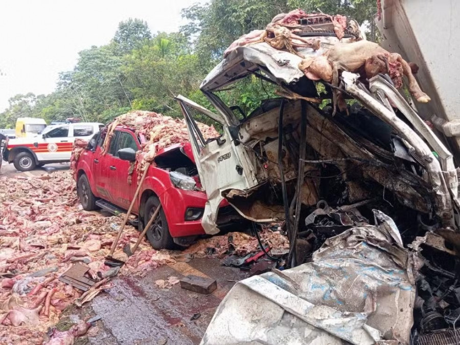 Restos de carne são espalhados pela pista após acidente na BR-010 — Foto: Divulgação/Corpo de Bombeiro