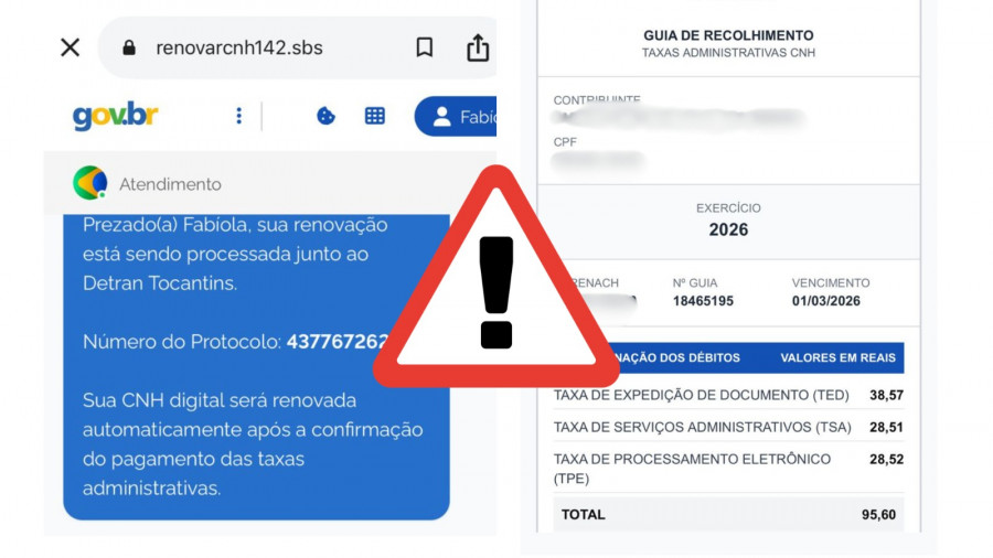  O site falso se assemelha ao site Gov.br, confundindo a vítima, passando a impressão de que ela está em um site oficial - Foto: Montagem Ascom Detran/TO