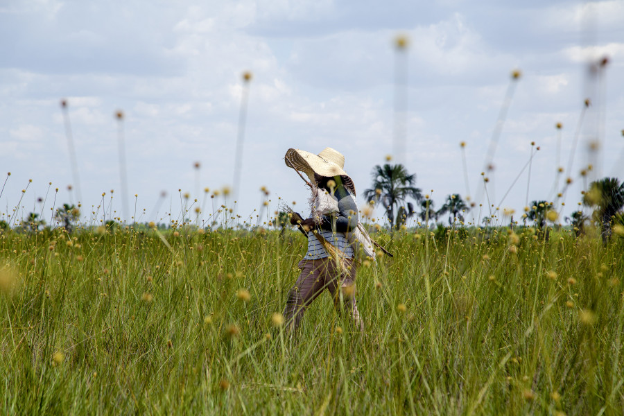 O Brejo do Capão no Mumbuca