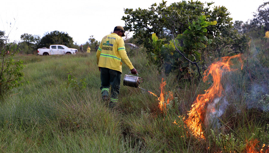 Planejamento estadual prevê mais de R$ 25 milhões em investimentos para ações de monitoramento, capacitação e fortalecimento do combate aos incêndios florestais em 2026 ┃ Foto: Adilvan Nogueira/Governo do Tocantins