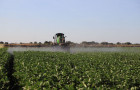 Cultivo de soja na Unidade de Pesquisa Agro da Unitins em Formoso do Araguaia 