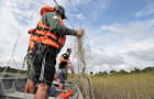 té fevereiro de 2024, também será proibido utilizar armadilhas de pesca, como redes de arrasto, tarrafas e espinheis, práticas classificadas como crime ambiental.