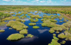 A proposta é discutir a importância da sustentabilidade e do cuidado com o meio ambiente, promovendo cultura e educação ambiental por meio de diálogos e troca de experiências