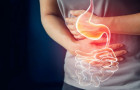 SES-TO alerta para o diagnóstico precoce e o tratamento adequado das doenças intestinais