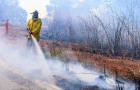  Brigadistas florestais vão auxiliar os bombeiros militares na prevenção e combate aos incêndios florestais.