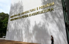 Ministério da Agricultura monitora casos suspeitos de doenças respiratórias em aves em diferentes estados do país, com atenção redobrada para possíveis focos de gripe aviária.