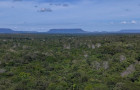  Jalapão vista aérea proxima da Cachoeira da Formiga.