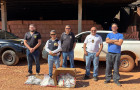 Polícia Civil incinera mais de 7 kg de entorpecentes apreendidos durante ações no interior do Tocantins 