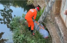 Corpo foi encontrado enrolado em panos debaixo da ponte que passa pela avenida Frimar, que liga o bairro JK à TO-222.