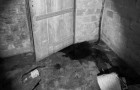  Mulher foi morta com extrema violência na zona rural de Nova Olinda; autor está foragido.