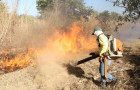 Brigadista do Naturatins durante manejo do fogo em Unidade de Conservação