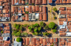 As árvores também receberão podas de adequação para garantir a boa interação da espécie com as áreas urbanas e dar mais segurança para visitantes e casas vizinhas
