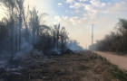 Focos de incêndio ameaçam rede elétrica e afetam milhares de famílias no Tocantins.