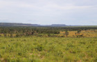 Os dados do Boletim foram consolidados pelo Centro de Inteligência Geográfica em Gestão do Meio Ambiente