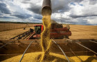 O volume obtido na colheita de grãos no atual ciclo representa uma alta de 16,3% sobre a temporada anterior. Foto: Agência Brasil