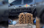 Apreensão de 81,4 kg de substância análoga à maconha no Setor Santa Fé I, na região sul de Palmas. 