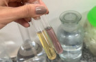 Frascos com metanol mais amarelado à esquerda e etanol álcool combustível mais avermelhado