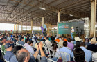 3ª edição do Meat Day reuniu pecuaristas e técnicos na Fazenda Bacaba, em Miranorte, para debates sobre eficiência, tecnologia e mercados para a carne tocantinense.