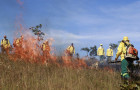  Os avanços registrados são resultados da execução de um plano de ação, que orientou de forma integrada as estratégias de prevenção, monitoramento e combate aos incêndios florestais.