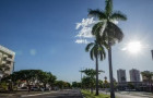Avenida de Palmas sob o sol forte