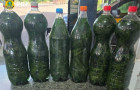 Garrafas com líquido de odor alcoólico e material vegetal semelhante à maconha foram apreendidas pela PRF na BR-153, em Paraíso do Tocantins