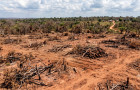 Proprietário deverá apresentar, em até 90 dias, Projeto de Recuperação de Áreas Degradadas para recompor a vegetação nativa.