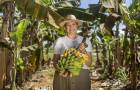 Relatório do Sebrae evidencia a diversidade produtiva do Tocantins como fruticultura familiar em diferentes regionais