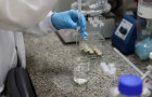 Nova estratégia vai orientar as políticas públicas de ciência, tecnologia e inovação no Brasil até 2034.