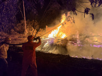 Bombeiros militares atuam no combate a incêndio em bambuzal no Setor Central de Araguaína. A ação rápida impediu que as chamas atingissem residências próximas. 