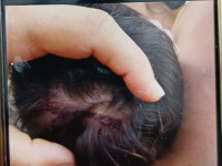 O caso foi registrado na tarde desta quarta-feira (11), no setor Maracanã. 