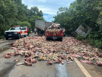 Restos de carne são espalhados pela pista após acidente na BR-010 